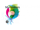 marinexus.png
