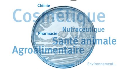 Polymaris Biotechnology s'installe sur le Technopôle Brest-Iroise [VIDEO]