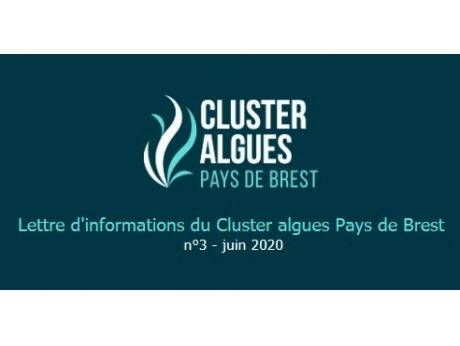 Cluster Algues, lettre d'information n°3