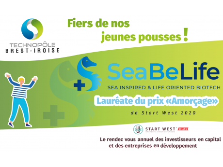 Start West : prix Amorçage pour SeaBeLife Biotech 