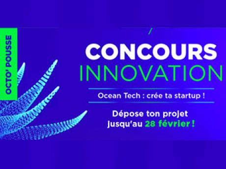 Vous avez un projet d’innovation en lien avec l’océan ? Le concours Octo’pousse vous aide à créer votre start-up !