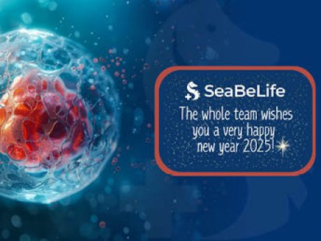 SeaBeLife Biotech vous partage ses temps forts 2024