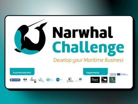 Narwhal Challenge : candidatez pour une immersion en Finistère !