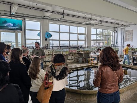 Retour sur la 15ᵉ Rencontre Immersion : au cœur des ressources marines à la Station biologique de Roscoff